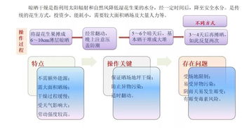 首屆花生生態峰會盛大召開，全方位解讀物業管理及配套服務新生態